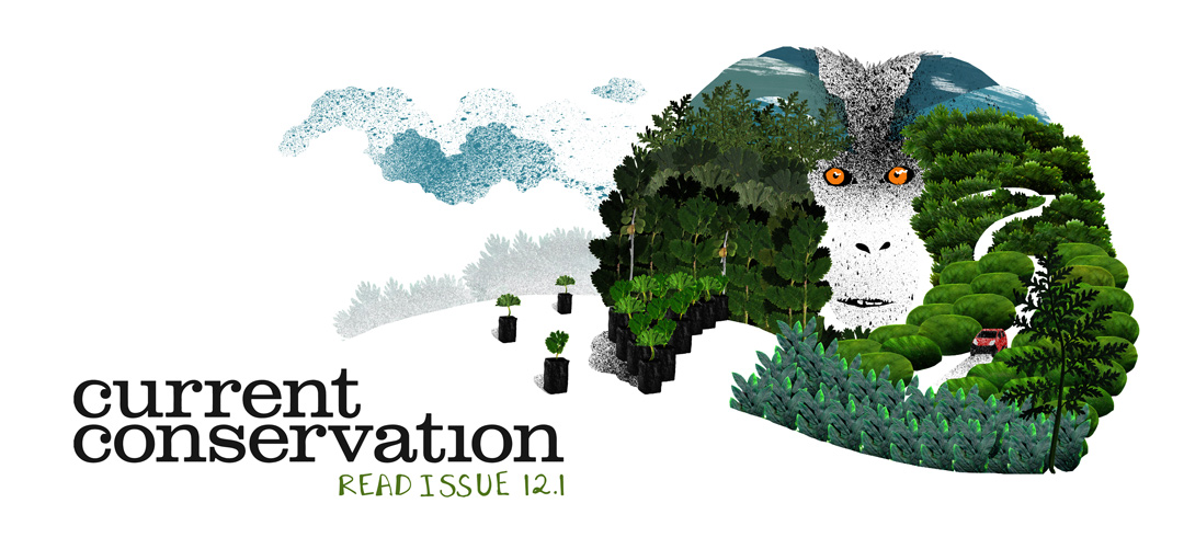 current conservation