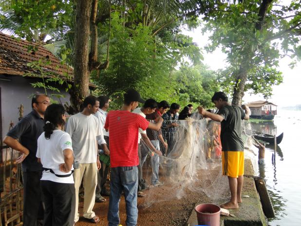 fishcount2013a