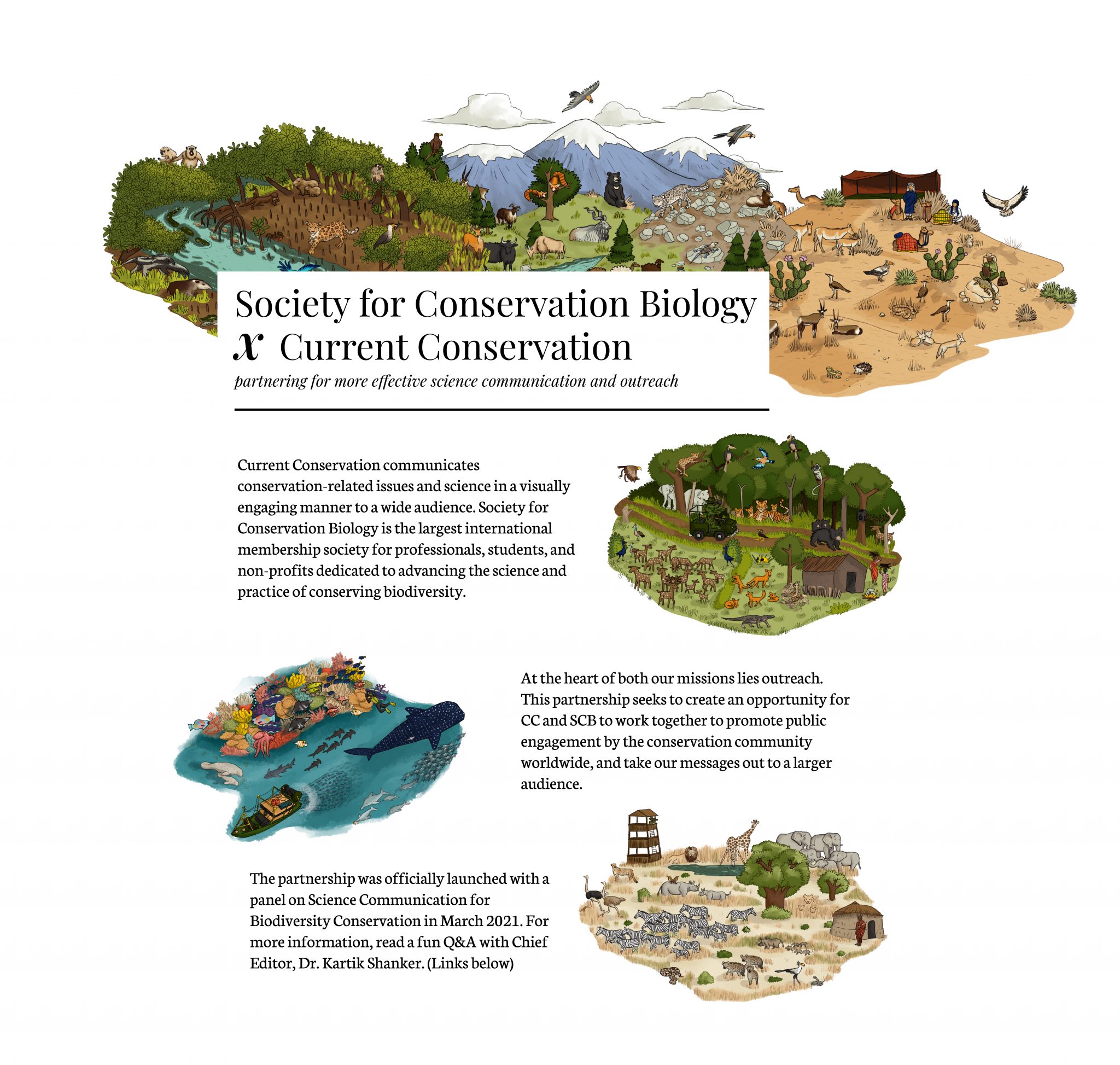 Partners | Current Conservation