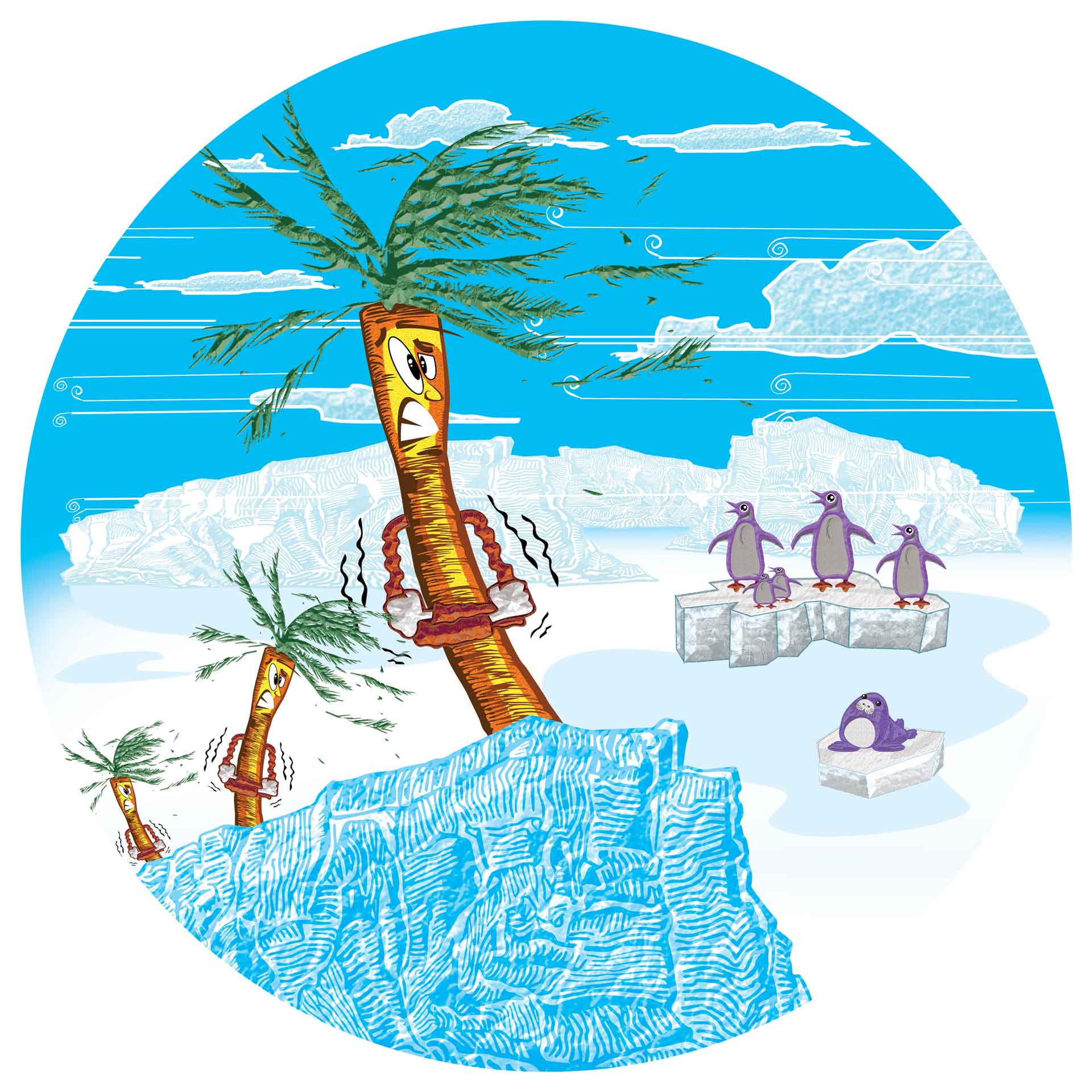 The World Re-Afforestation Project | Current Conservation