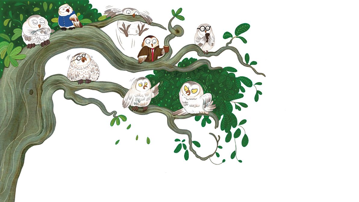 A Parliament Of Owls Current Conservation