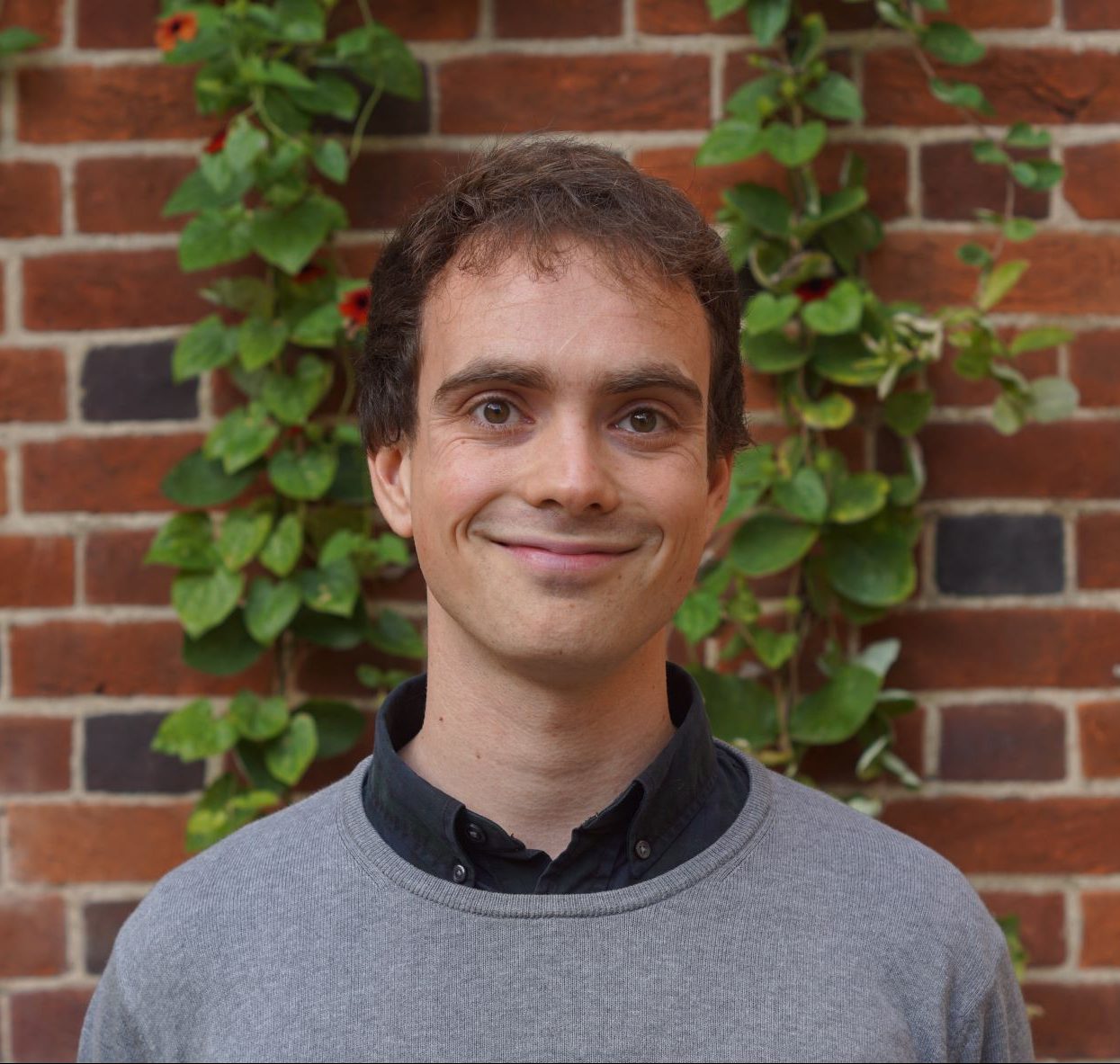 Rogelio Luque Lora | Current Conservation