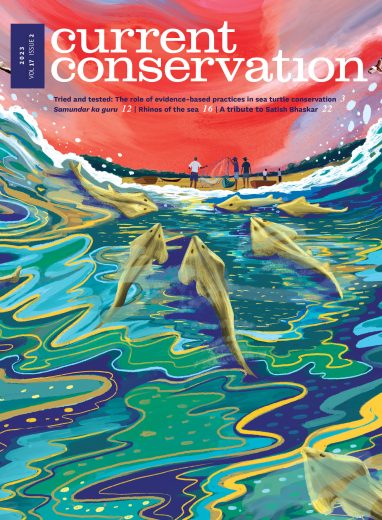 Current Conservation issue 17.2
