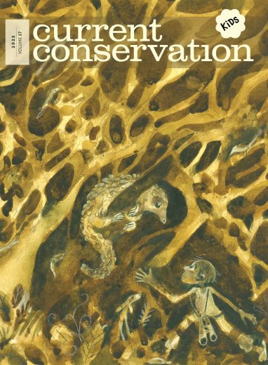 Current Conservation issue CC Kids 17