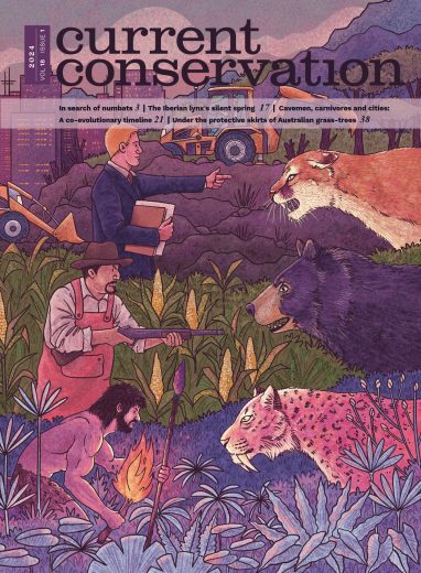 Current Conservation issue 18.1