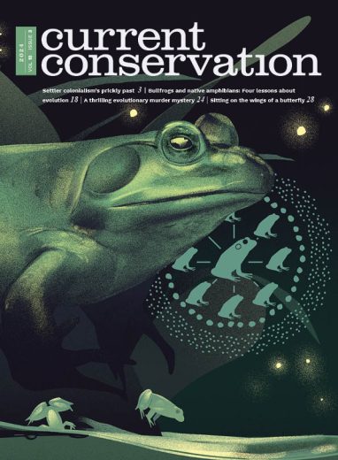 Current Conservation issue 18.3