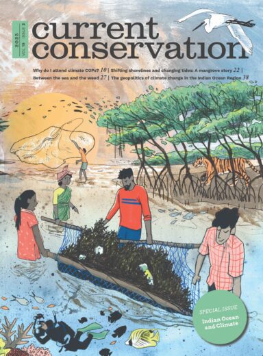 Current Conservation issue 19.2