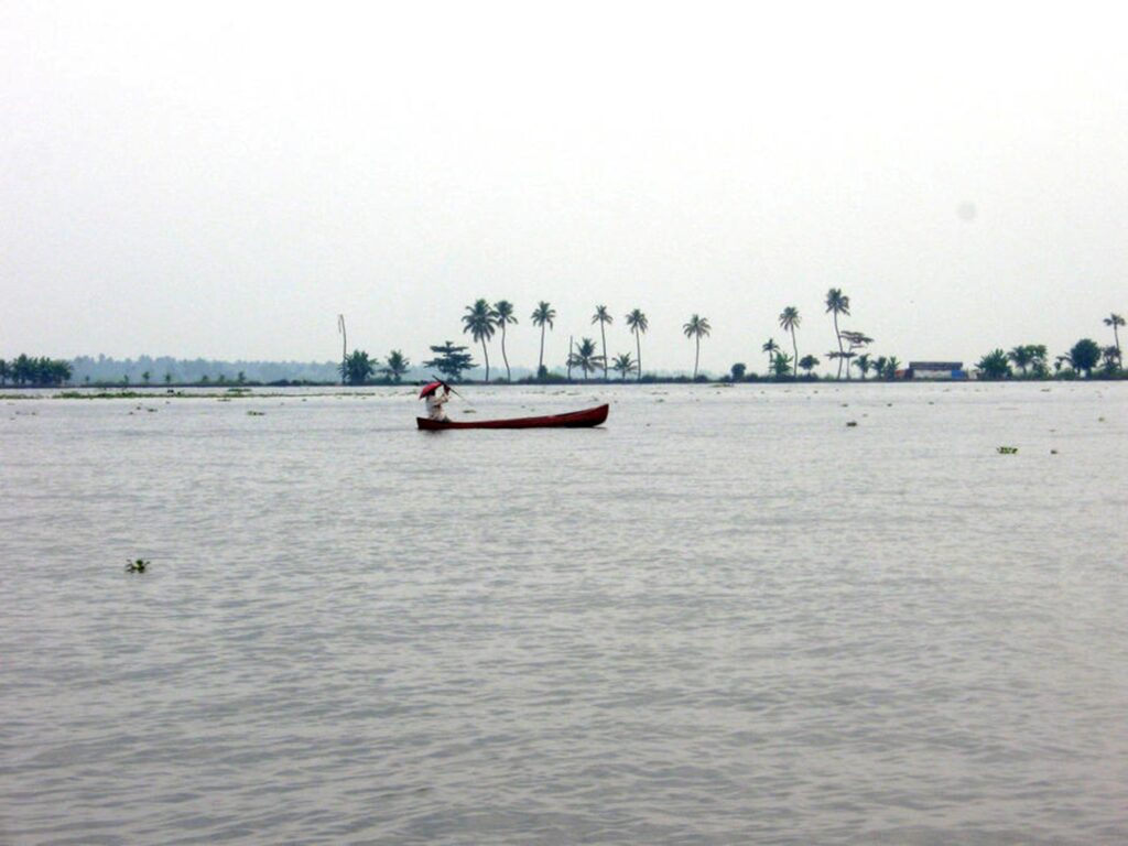 A local resident sailing through the Vembanad Lake