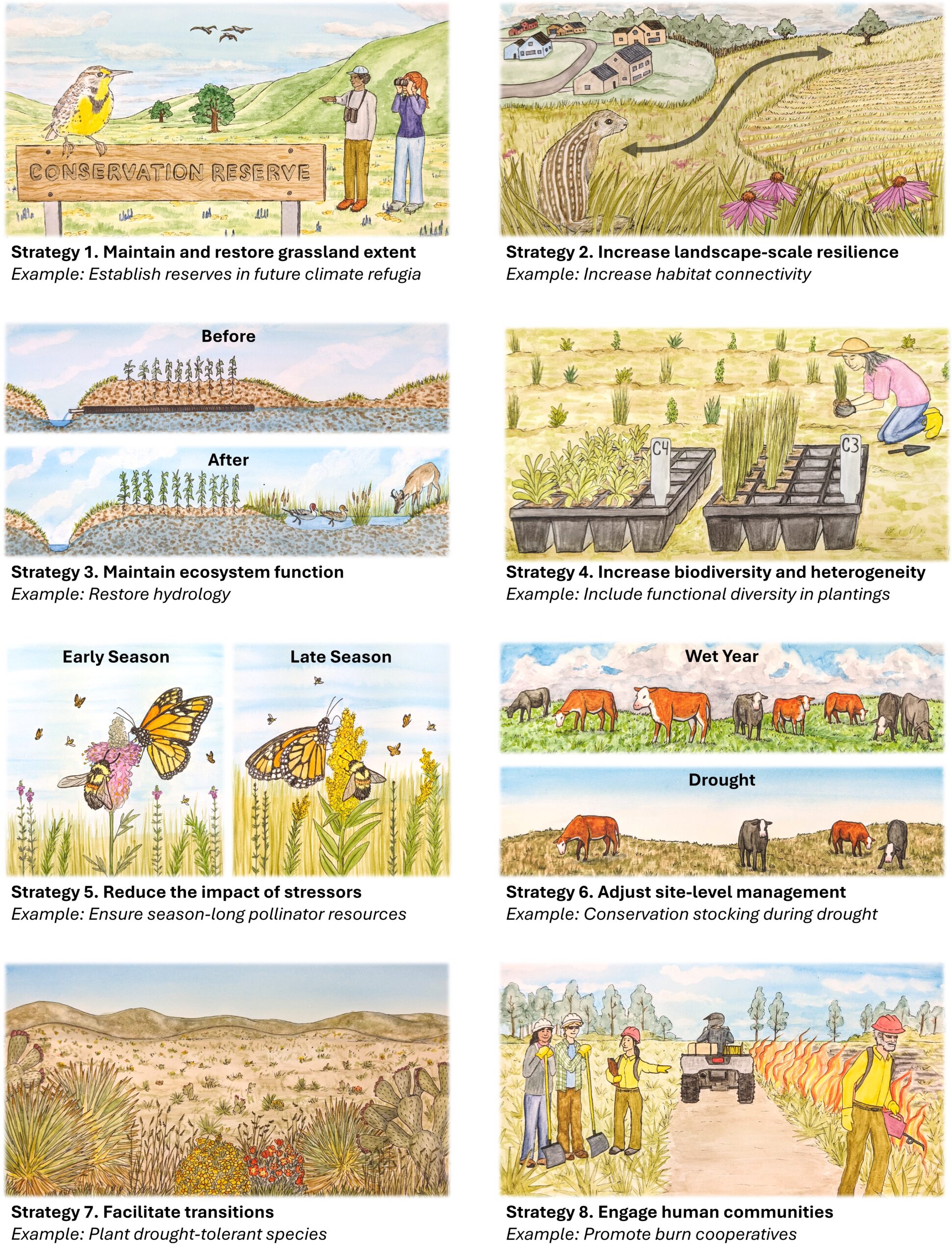 Getting into the weeds: how to manage our grasslands under climate ...