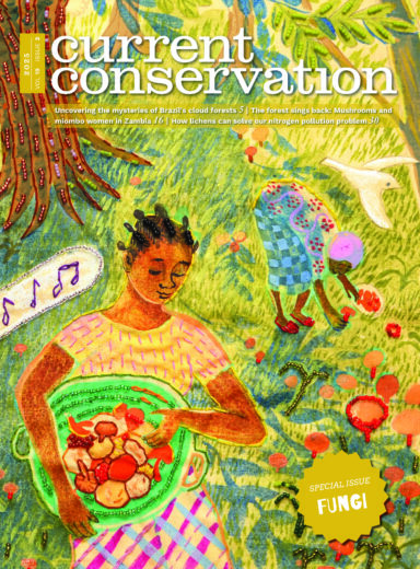 Current Conservation issue 19.3