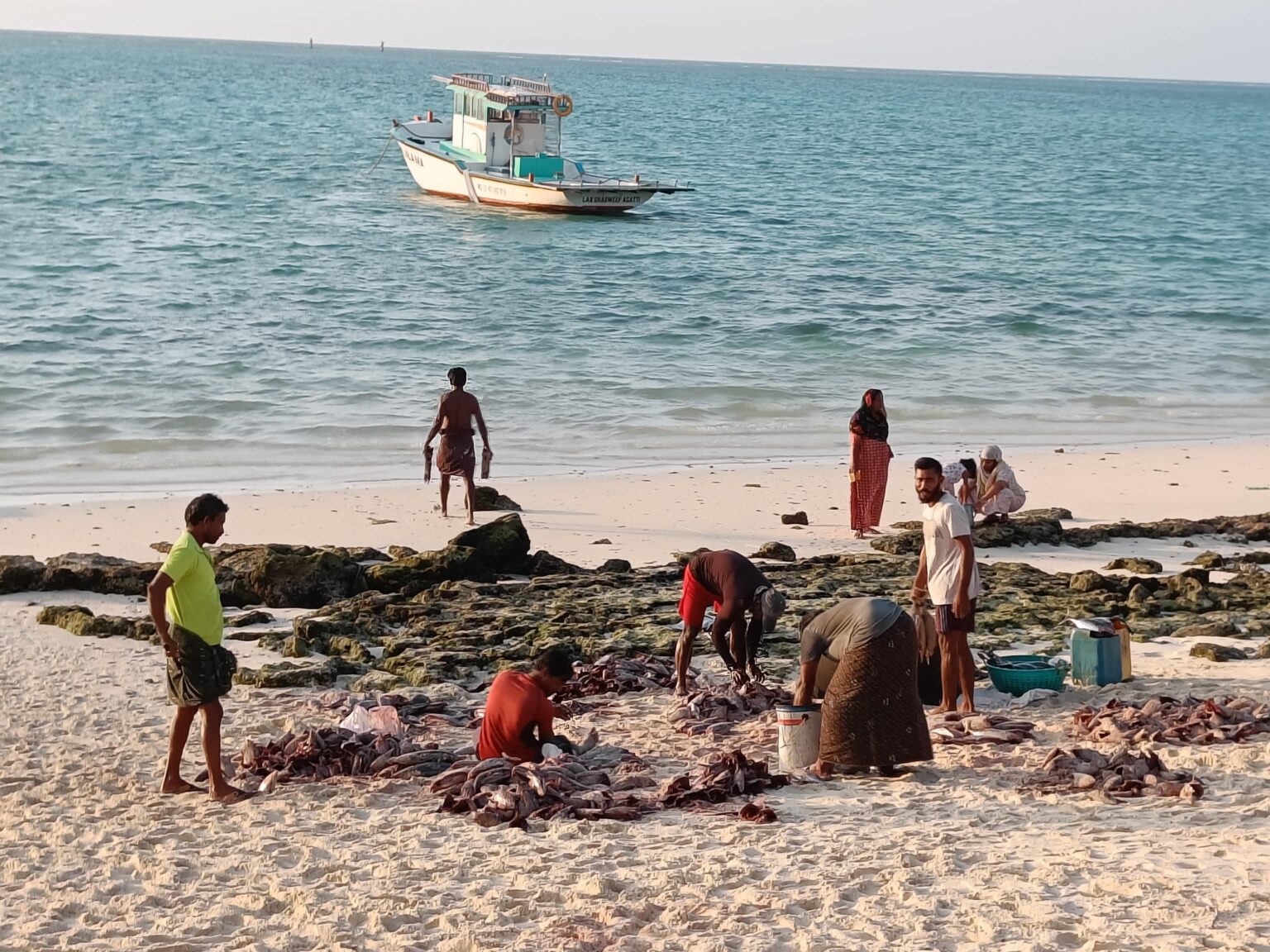 Living In Harmony With Dragons Current Conservation