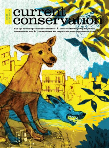 Current Conservation issue 20.1